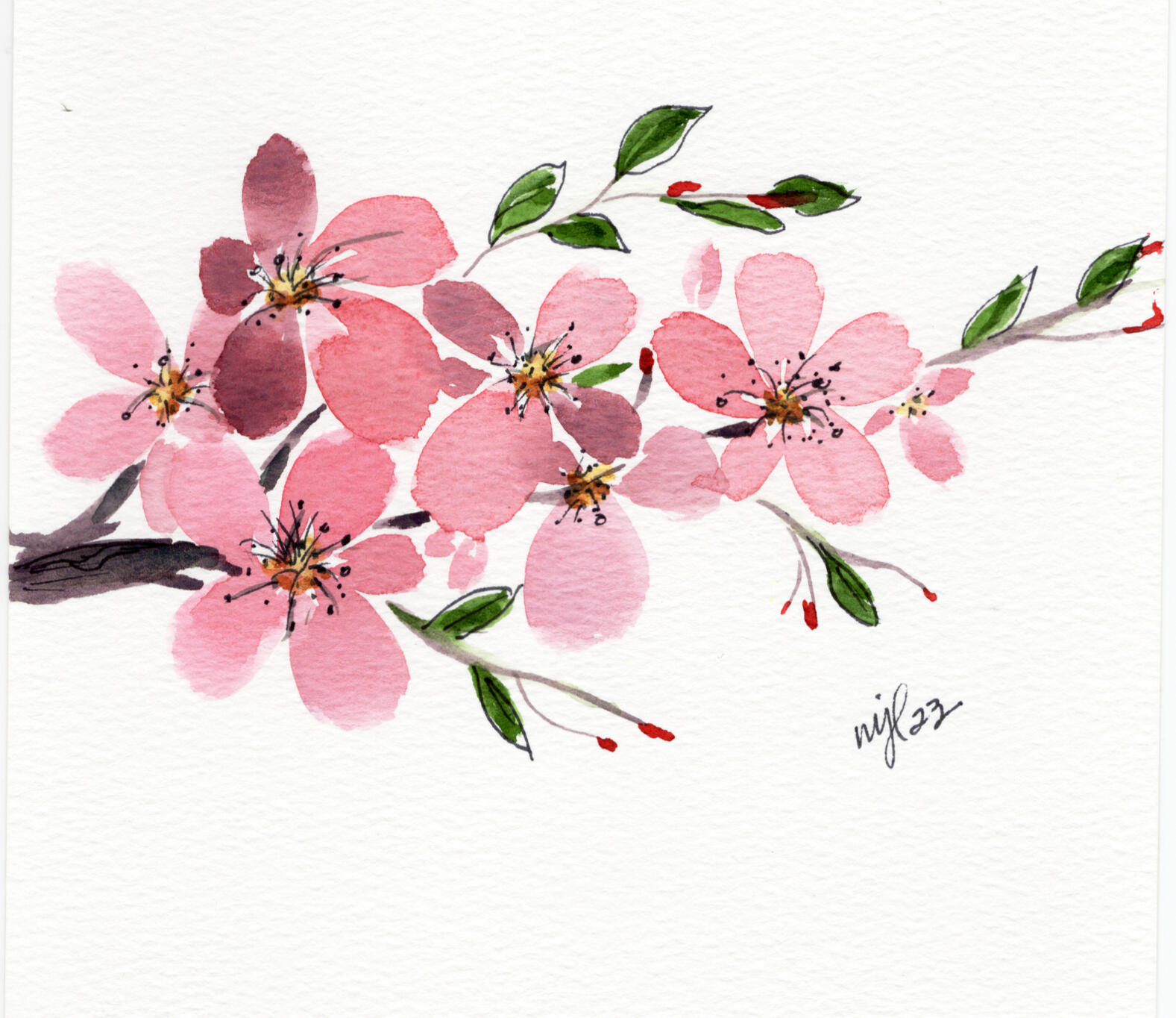 Watercolor 6 x 6 "Cherry Blossom Branch" $54