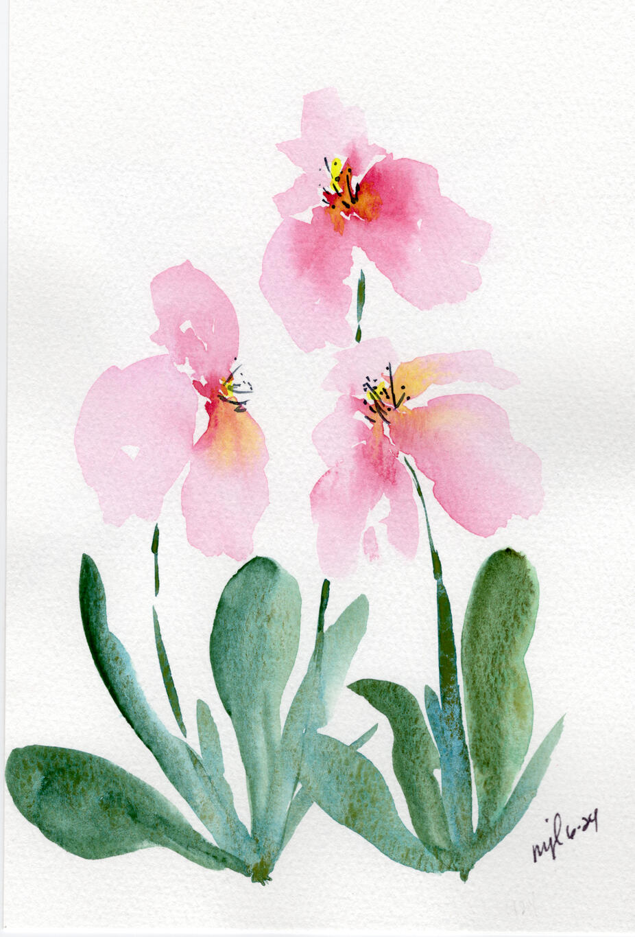 Watercolor 6 x 9 "Trio of Pink" $54