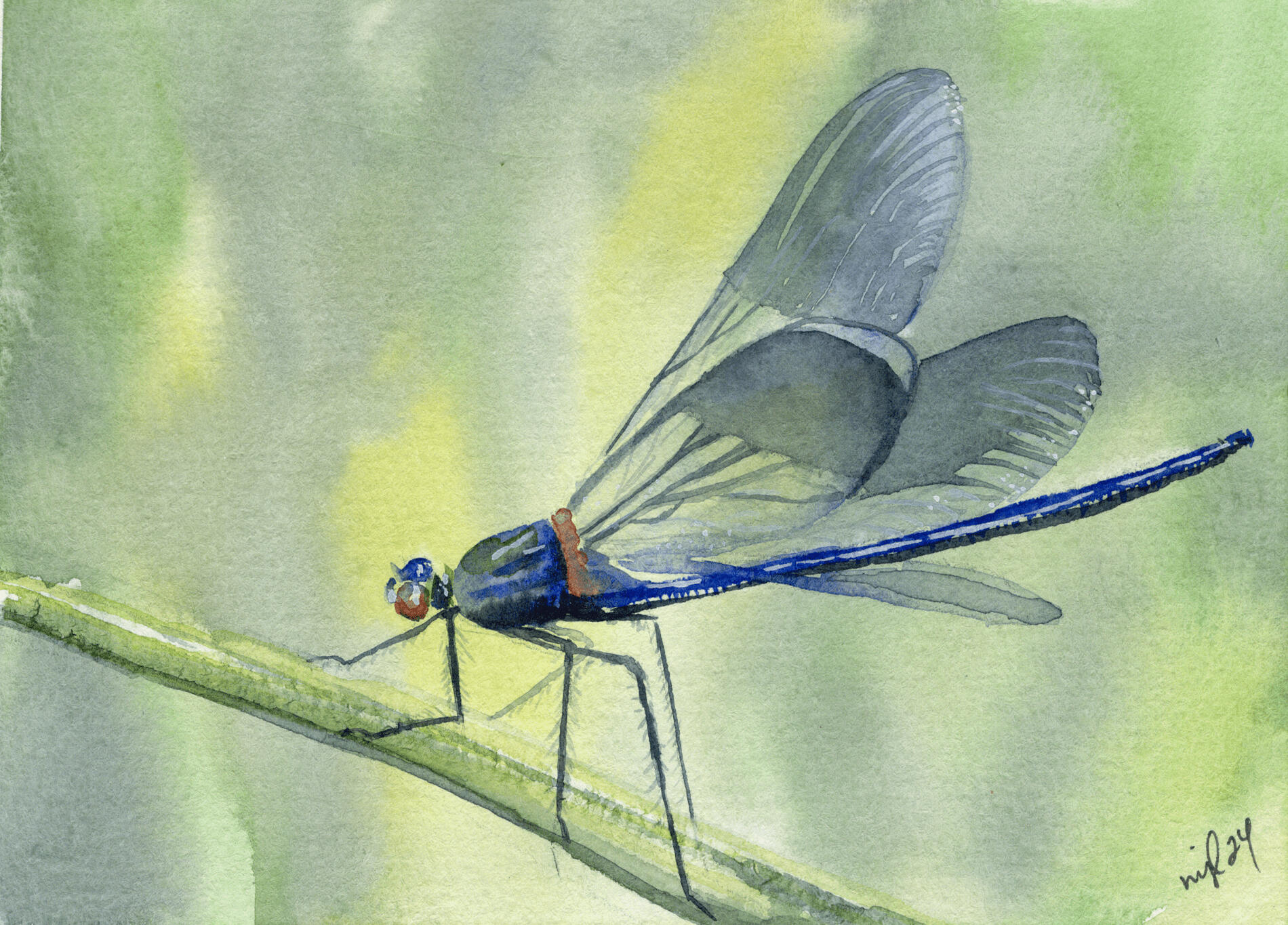 Watercolor 5 x 7 &quot;Dragonfly&quot; $52