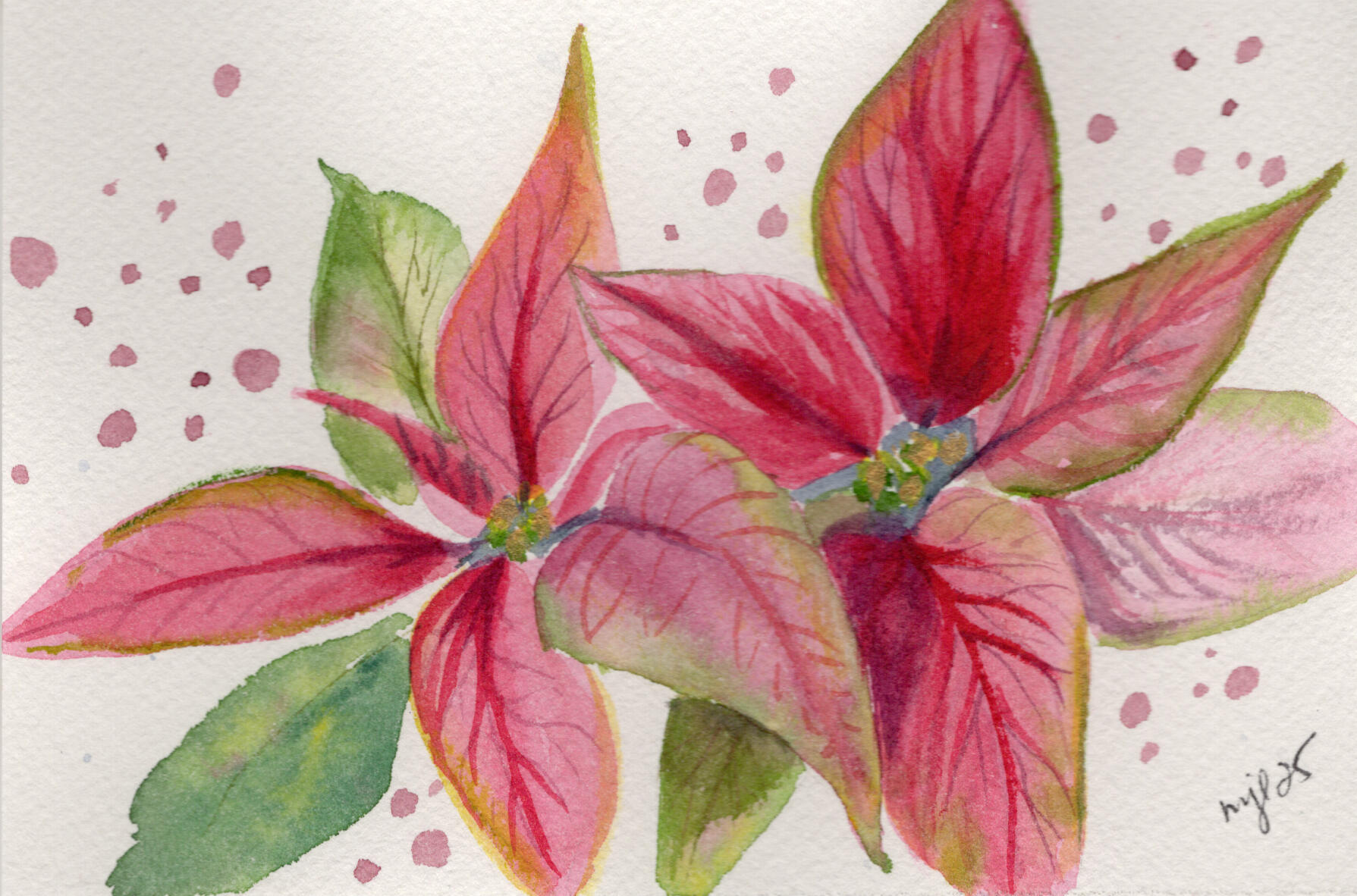 Watercolor 4 x 6 "Pointsettia Duo Dots" $36