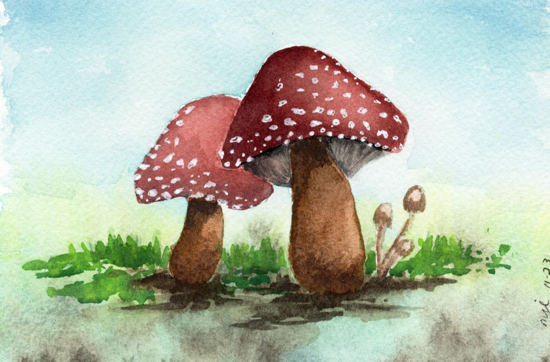 Watercolor 4 x 6 "Two Mushrooms" $36