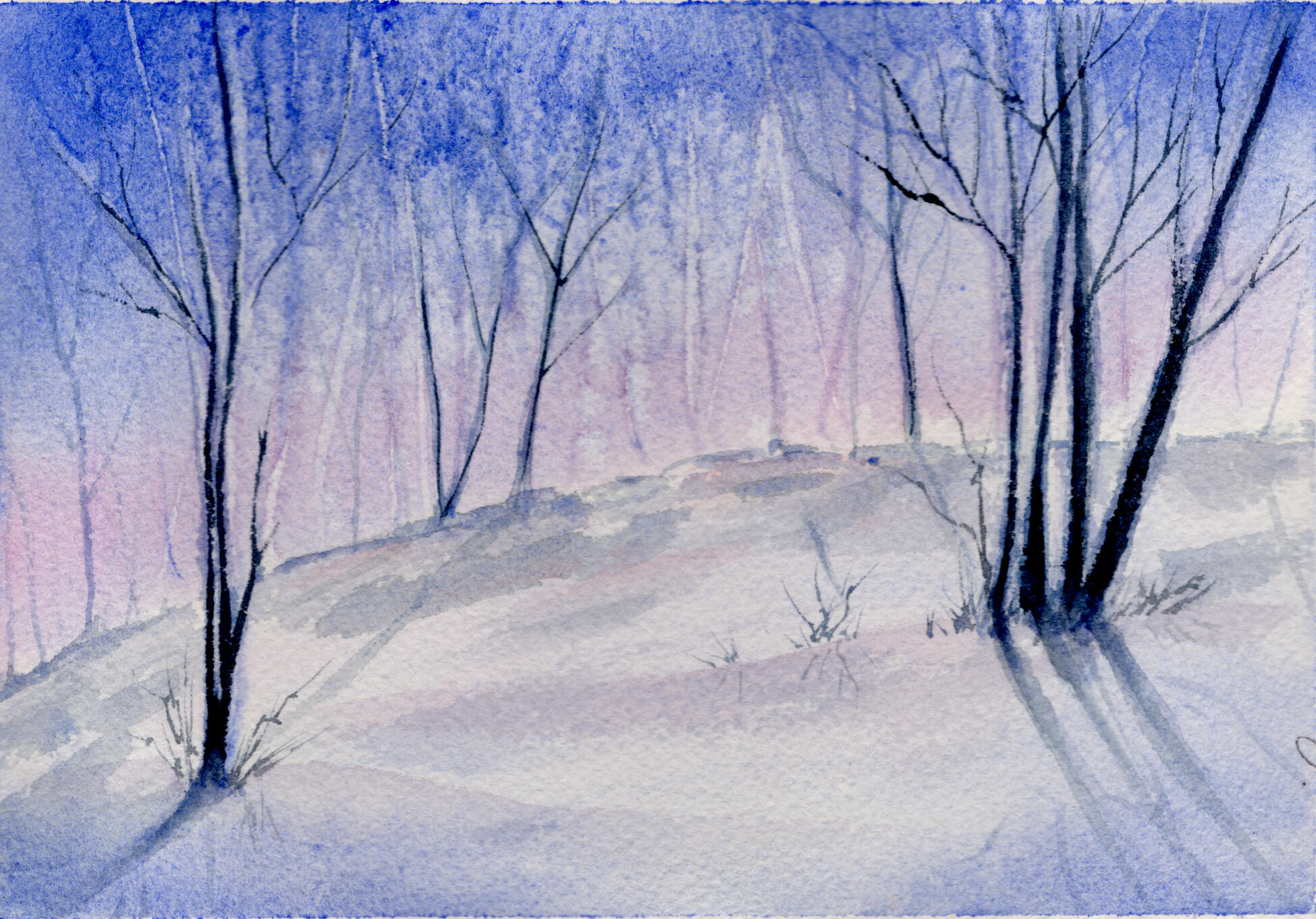 Watercolor 5 x 7 "Trees on a Sunset Hill" $52