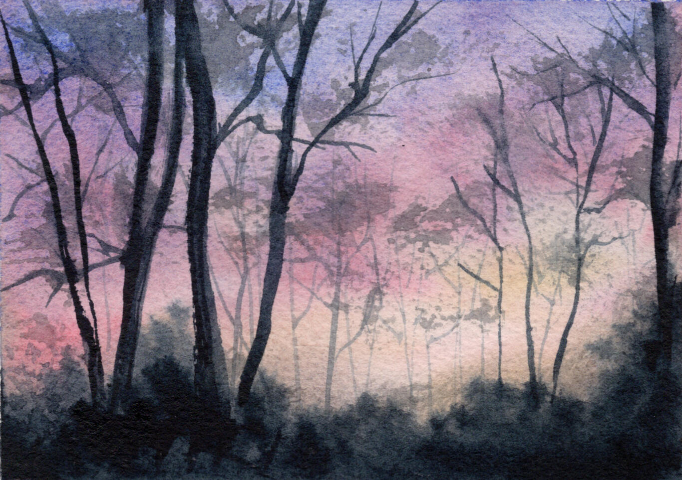 Watercolor 4 x 6 "Backyard Eve" Private Collection