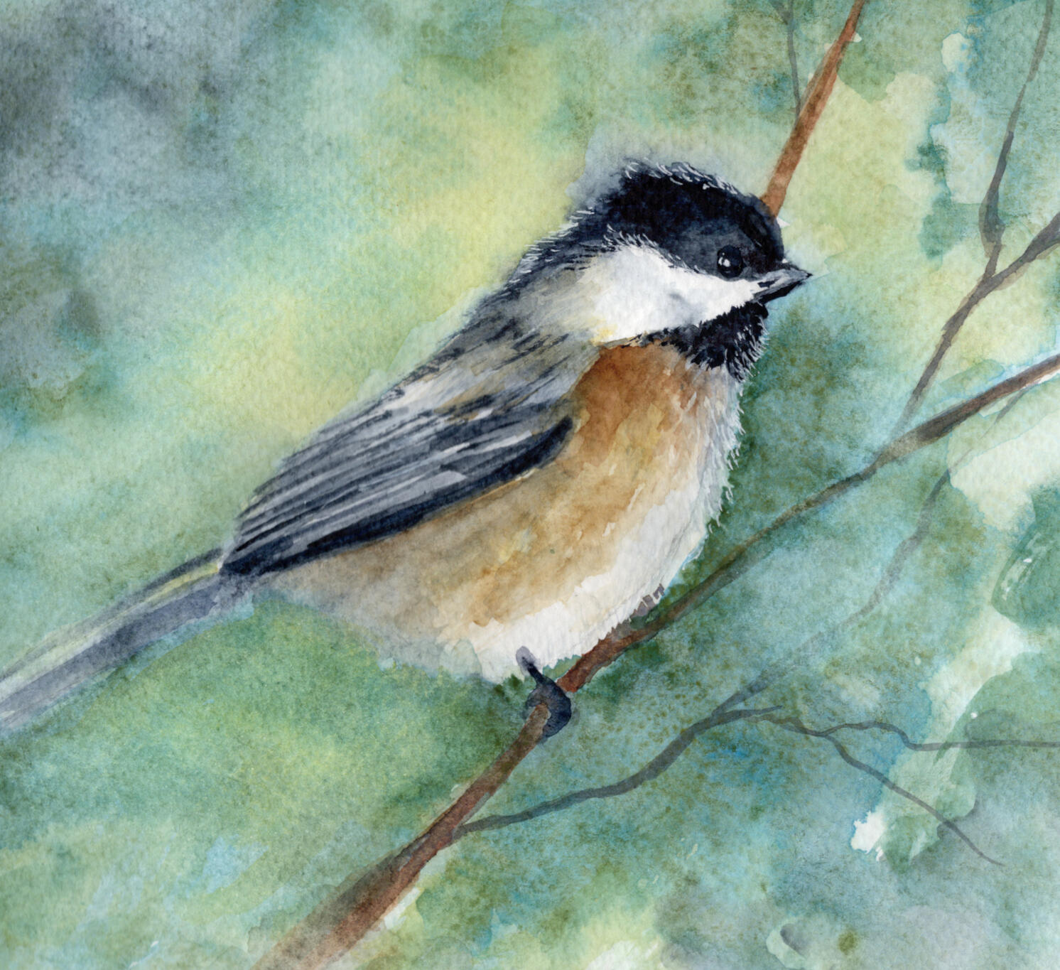 Watercolor 6 x 6 *"Chickadee on a branch" Private Collection