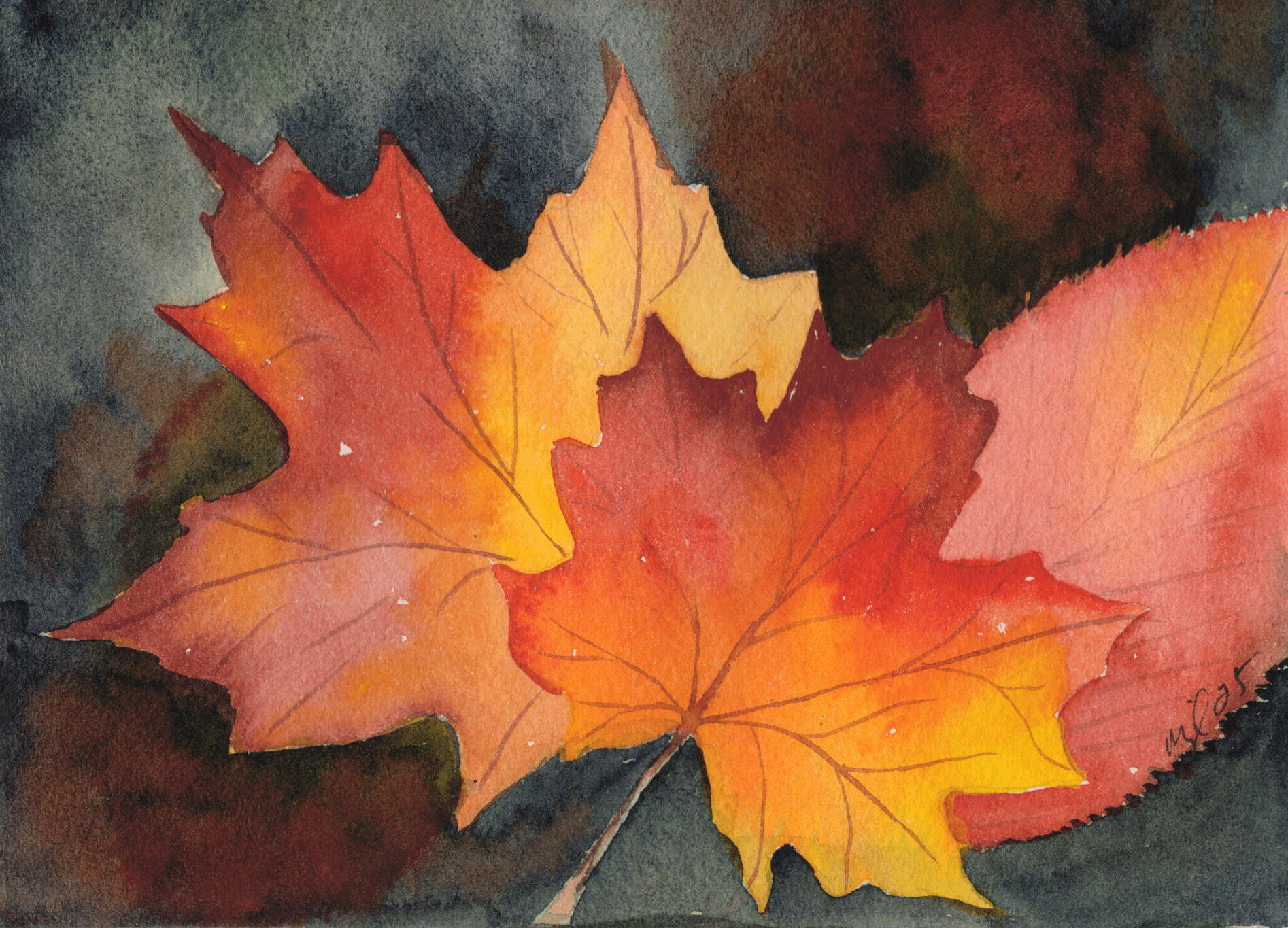 Watercolor 5 x 7 &quot;Two maple and an Aspen&quot; $52