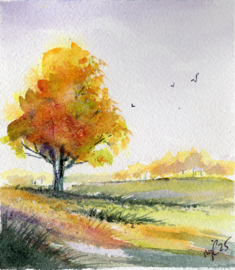 Watercolor 4 x 4.5 "Fall Lone Tree" $27