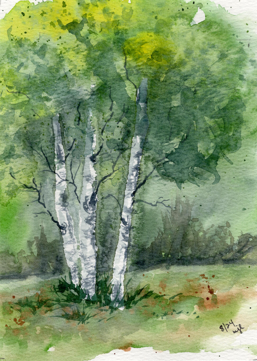 Watercolor 5 x 7 "Clump of Three Birch on Slope" $52